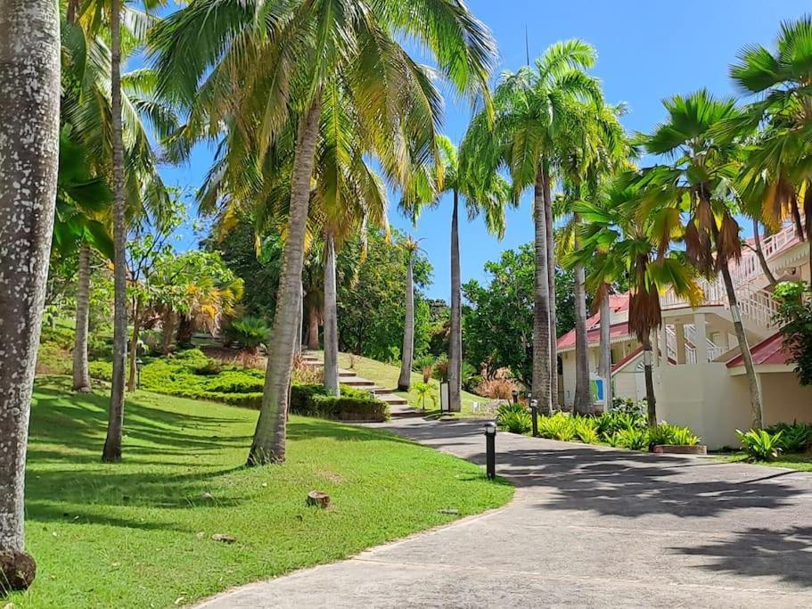 Studio Avec Vue Mer Exceptionnelle, Plage Et Piscine, Village Vacances Sainte-Anne Sainte-Anne (Grande-Terre) Exterior foto